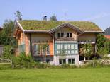 tdx-fbb-gebaeudebegruenung-02